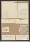 Diatomeae indet. Zeichnungen Sammlung Grunow Nr. 7596 (NHMW-BOT-W0376759)